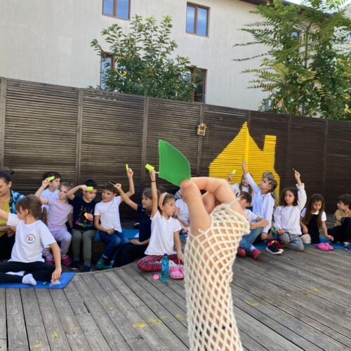 maini comm maini comm